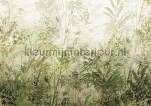 Wilderness papier murales Komar RAW R4-053