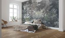 Fairytale forest papier murales Komar RAW R4-060