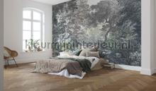 Fairytale forest papier murales Komar tout images 