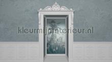Niche papier murales Komar RAW R5-059