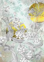 Golden sun papier murales Komar RAW RSX4-019