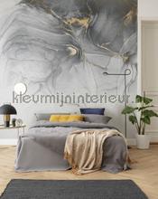 Ink gold fluid papier murales Komar tout images 