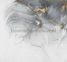 Ink gold fluid fototapet Komar stemning 