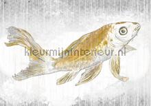 Golden koi fotomurais Komar telhas 