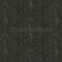 Starburst papier peint Dutch First Class stress 