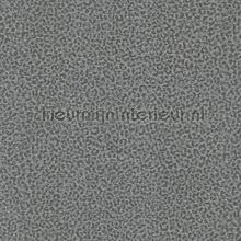Textured Pantera papier peint Dutch First Class stress 