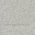 Metallic Texture tapeten 19057 uni farben Motive