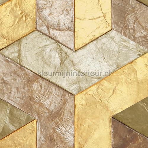 Helix Ginger roots papier peint 33720 spcial Arte