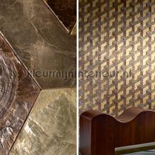 Helix Ginger roots papier peint 33720 spcial Arte