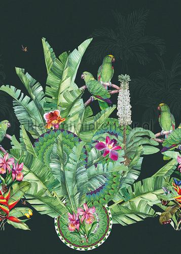 Groene exotische vogels op donkere achtergrond fotobehang TD4110 Oosters - Trompe loeil Behang Expresse