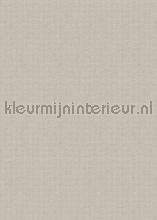 108715 photomural Behang Expresse world maps 