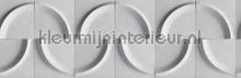 Behangrand 3d halve cirkel papel pintado Noordwand Vendimia Viejo 