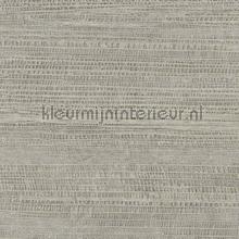 Garder son controle papel de parede CV115-04 project wallcovering Elitis