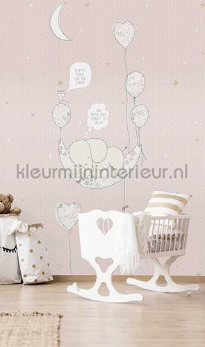 Elefant in the room pink wallcovering INK7625 Baby - Toddler Behang Expresse