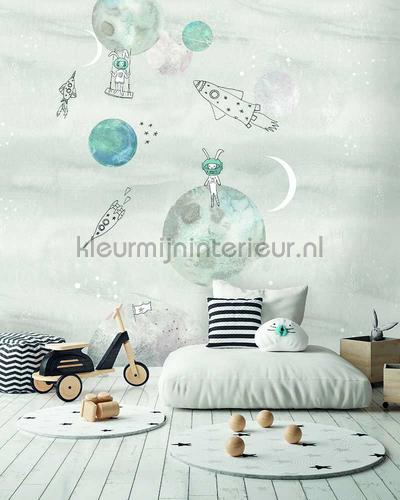 Too the moooon grey papel pintado INK7629 Sofie en Junar Behang Expresse