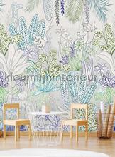 Hide and seek blue fotobehang Behang Expresse babykamer 
