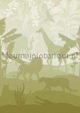 Quiet jungle green papier murales Behang Expresse Voitures Transport 