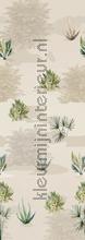 Bush drive sahara uni wallcovering Behang Expresse Sofie en Junar INK7656