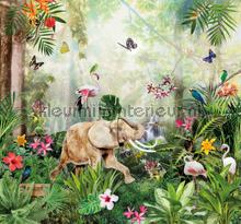 Jungle dance behang Behang Expresse kinderkamer meisjes 