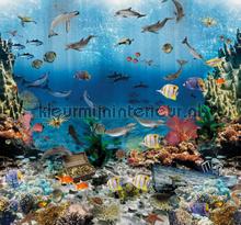 Aquarium tapeten Behang Expresse weltraum 