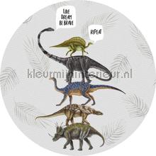 Live dream be brave gray cirkel 150cm tapeten Behang Expresse weltraum 