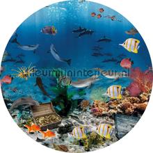 Aquarium cirkel 75cm stickers mureaux Behang Expresse tout images 