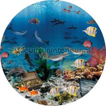 Aquarium cirkel 75cm autocolantes decoracao Behang Expresse Bebs Crianas 