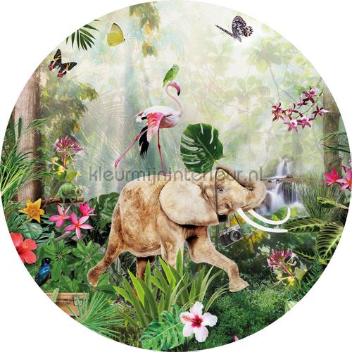 Jungle dance cirkel 75cm interieurstickers INK324 Baby - Peuter Behang Expresse