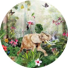 Behang Expresse Sofie en Junar vinilo decorativo