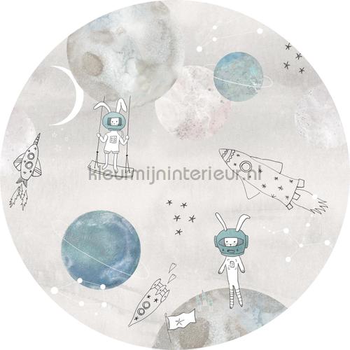 Too the moooon grey cirkel 75cm stickers mureaux INK332 Sofie en Junar Behang Expresse