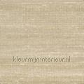 Kosa silk Sable du desert papel de parede VP 928 11 cores lisas Motivos