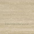 Kosa silk Sable du desert tapeten VP 928 11 Soie changeante Elitis