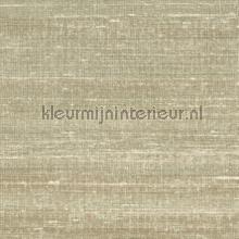 Kosa silk En toute discretion papel de parede VP 928 12 cores lisas Elitis