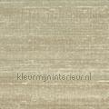 Kosa silk En toute discretion wallcovering VP 928 12 Soie changeante Elitis