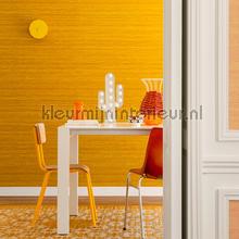 Kosa silk Marron d Inde papel de parede VP 928 81 cores lisas Elitis