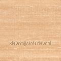 Kosa silk Une douceur profonde wallcovering VP 928 52 plain colors Pattern