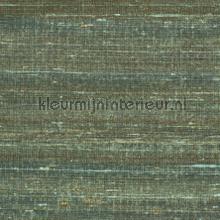 Kosa silk Eden insulaire papel de parede VP 928 62 cores lisas Elitis
