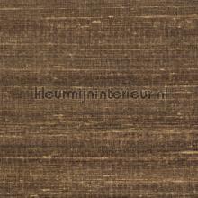 Kosa silk Clair obscur papel de parede Elitis Soie changeante VP-928-72