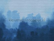 Brume wallcovering VP 933 01 Soie changeante Elitis