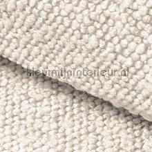 Sponge Boucle 11 tapet DWC alle billeder 