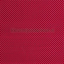 110327 rideau Kleurmijninterieur garons 