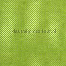 110331 rideau Kleurmijninterieur garons 