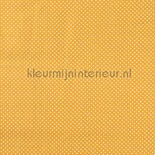 110334 rideau Kleurmijninterieur garons 
