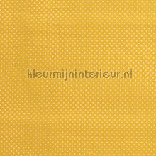 110335 rideau Kleurmijninterieur garons 