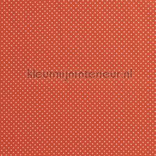 110336 rideau Kleurmijninterieur garons 