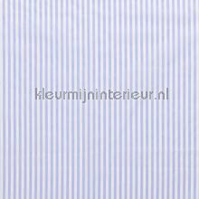 Fijne strepen 5mm babyblauw gordijnen Kleurmijninterieur strepen 