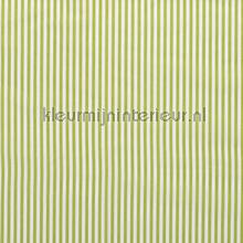 Fijne strepen 5mm limegroen gordijnen Kleurmijninterieur strepen 