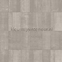 Gyan taupe behaang Khroma Summer SUM303