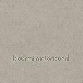 Leather plain light grey papel de parede TA25023 peles de animais Motivos