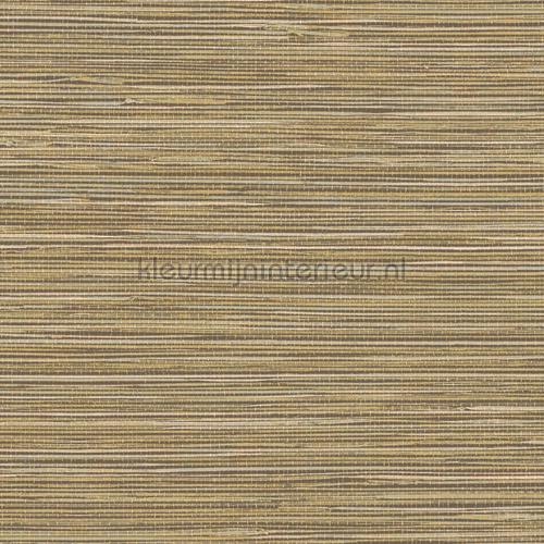 Grass cloth carta da parati TA25042 Moderna - Astratta Hookedonwalls